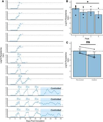 Plasmodium knowlesi Cytoadhesion Involves SICA Variant Proteins